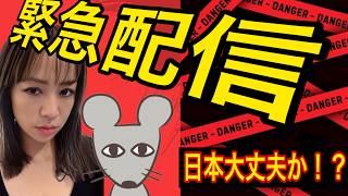 Download lagu ゲストねずみさん!絶対に見て!! mp3 Download lagu ゲストねずみさん!絶対に見て!! mp3
