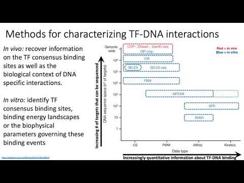 MCB 182 Lecture 7.1 - Overview of TF-DNA interaction assays, EMSA