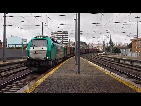 Tramesa em Ermesinde