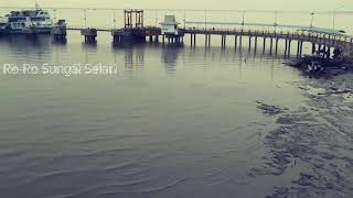 preview picture of video 'DJI Ryze Tello | Video Footage | Penyeberangan Ro-Ro Sungai Selari'