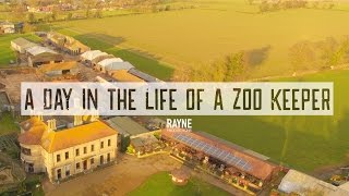 A Day In The Life of a Zoo Keeper