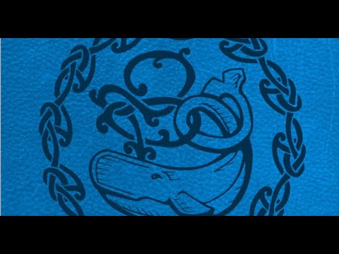 DSA Durchgeblättert Folge 228 - Swafnir-Vademecum