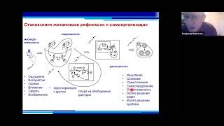 Верхоглазенко В.Н. Становление и развитие рефлексивной самоорганизации в методологическом подходе