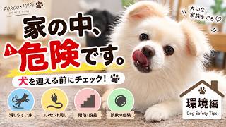 【犬の安全対策】犬を迎えて初めて気づいた…家の中で気をつけること環境編 | Dog Safety Tips