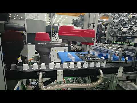 The high speed scara robot picks the paper cup