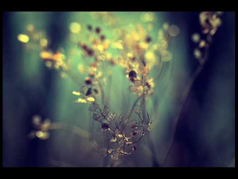 SOUNDSCAPE UK - LEGACY