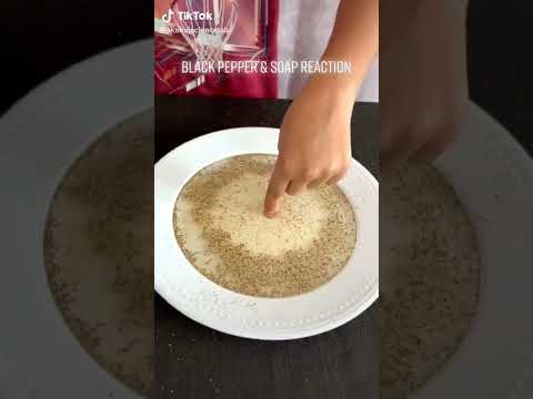 Black Pepper & Soap Reaction