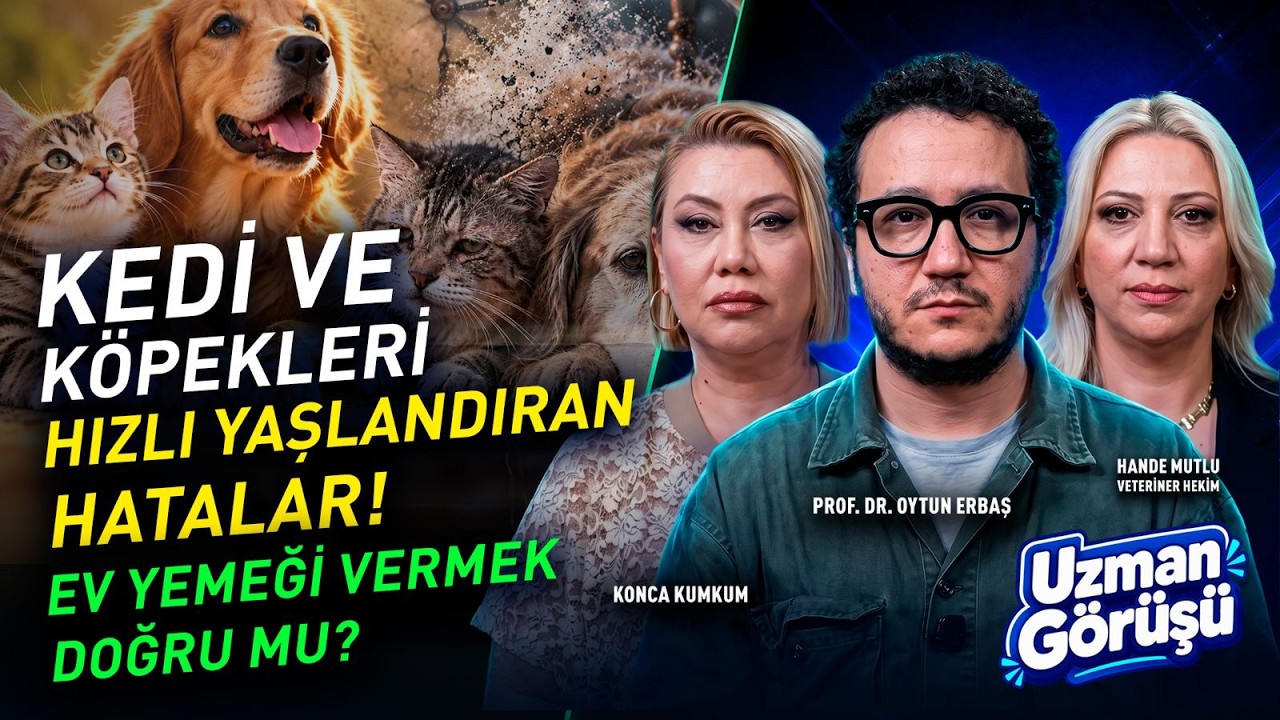KEDİ VE KÖPEKLERİN ÖMRÜNÜ UZATMAK MÜMKÜN MÜ? Beslenme, Stres ve Yaşlanmanın Sırları