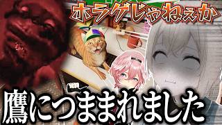癒しのねこゲーと聞いていたはずが、鷹につままれホラゲ配信と化す、ござるさん【風真いろは/ホロライブ切り抜き/holoX】