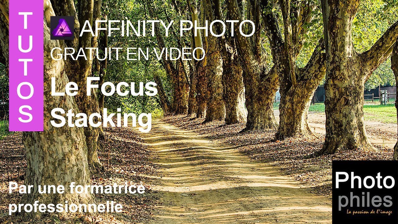 Faire un focus stacking sur Affinity Photo