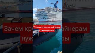 Зачем круизным лайнерам нужны буксиры #nassau #bahamas #cruisetour #cruiseship