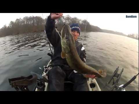 2012-03-16 – Fisketur Gedde 7.5 kg.