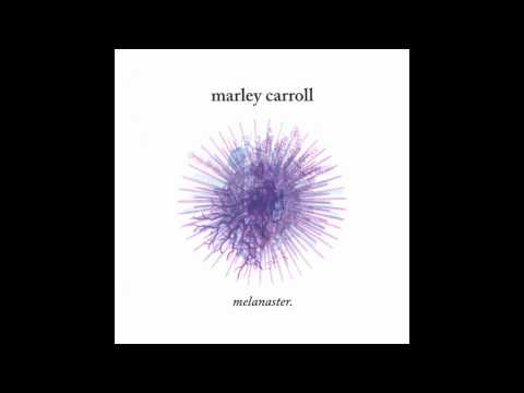 Marley Carroll - Parhelic Circle