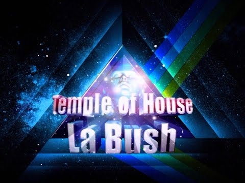 Remember La Bush Mix 100% vinyls