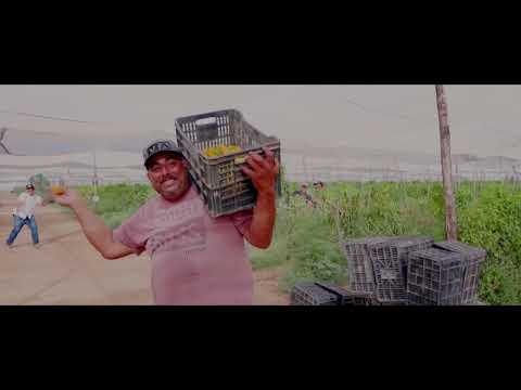 Traviezoz De La Zierra & Gerardo Diaz y Su Gerarquía Y Como Creen(Video Oficial)