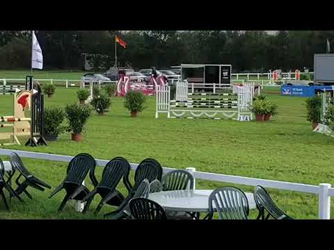 Magnus Romeo x Cassini II