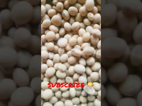 SOYABEAN DAL|GYM|PROTIEN|FARMERS|PULSES|JD|RC|COMODITY