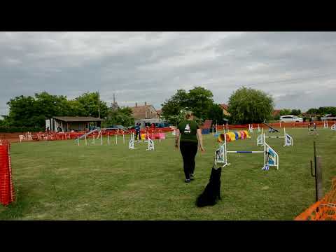 Töpi A1 Agility futam II. - Nyárindító kupa 2022. -  2022-05-28