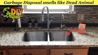 Garbage disposal smells like sewage stink odors in sink - Easy fix
