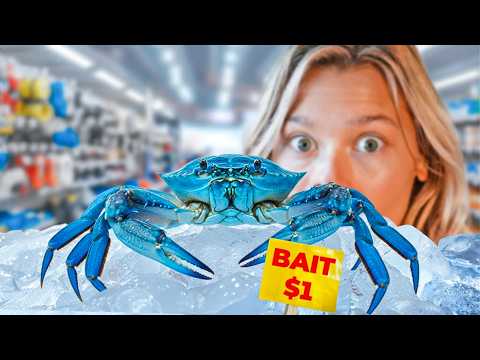 Raising a Bait Shop Crab as a Pet...