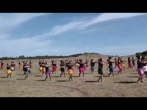 clip fit Toa Kovi'i love nwantiti