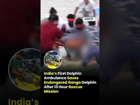 India’s First Dolphin Ambulance Saves Endangered Ganga Dolphin After 13-Hour Rescue Mission