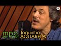 Aquarela - Toquinho (DVD MPB em Cena)