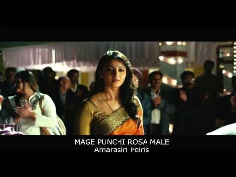 Mage Punchi Rosa Male - Amarasiri Peiris