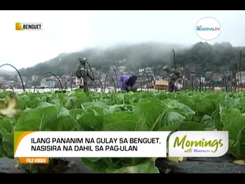 Mornings with GMA Regional TV: Epekto ng Habagat