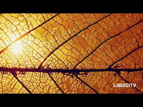 MC Conrad & Makoto - Golden Girl (Makoto Remix)