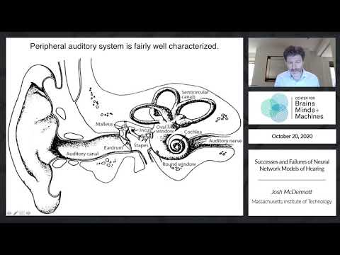 Successes and Failures of Neural Network Models of Hearing