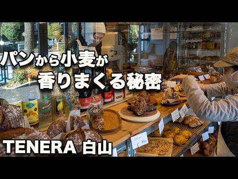 [TENERA Hakusan] Croissants milagrosos y pan de curry amoroso. Una panadería explosivamente popular con una combinación de un panadero exigente con la harina casera y un nutricionista a cargo de los ingredientes.