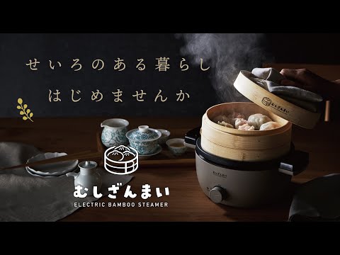 AMZ-450GY 電気せいろ蒸し器 むしざんまい アピックス｜APIX 通販