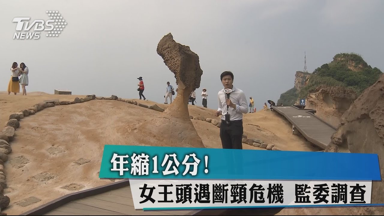 年縮1公分！女王頭遇斷頸危機　監委調查