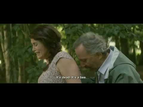 Real Movie Panda and KP Explainer