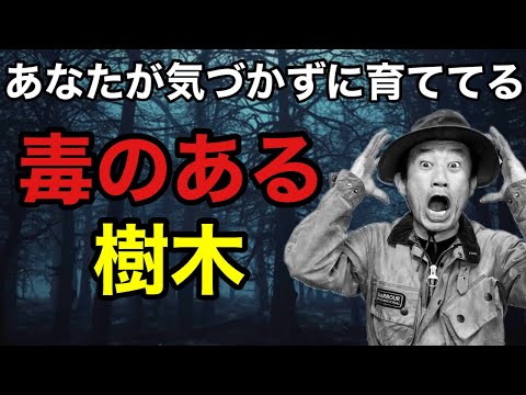 アジサイには毒があるのでしょうか? 植物