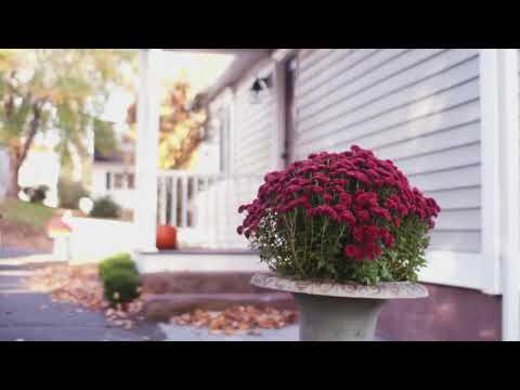 196 Crown Street property video