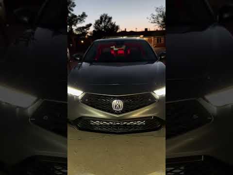 LED Acura BADGE - OEM Option ( 2023 Integra )