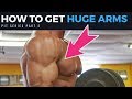 PIT series part 2- How to Get Huge Arms!
