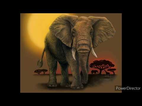 Miti Geologici: il continente Atlantide (pt. 1)