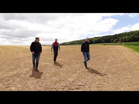 KWS Mais-Blog Teil 19 (Besuch bei Malte #1)