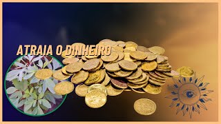 FAÇA ESSA MAGIA E VEJA O DINHEIRO CHEGAR