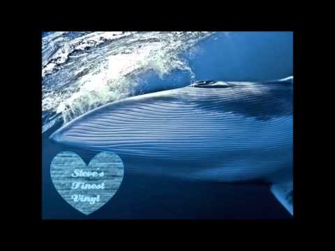 Rob Sparx - Independent Life (Dub Mix)