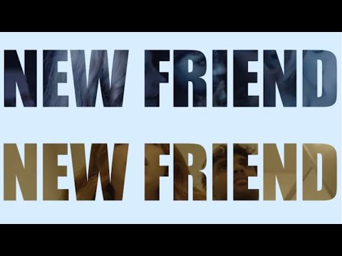 New Friend by Liz Spiller