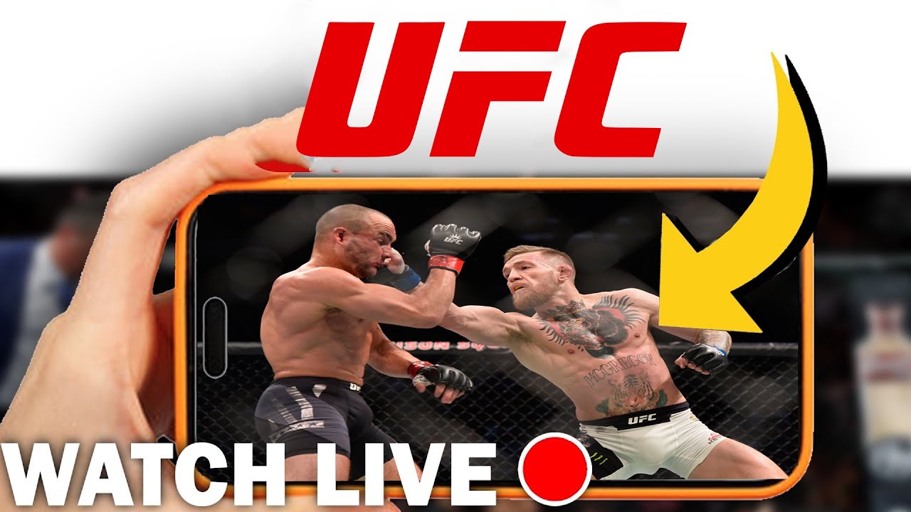 UFC Fight Night in 2025