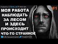 https://www.youtube.com/watch?v=zrPtFfVfJ94