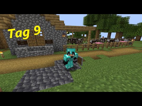 Die letzten Handgriffe