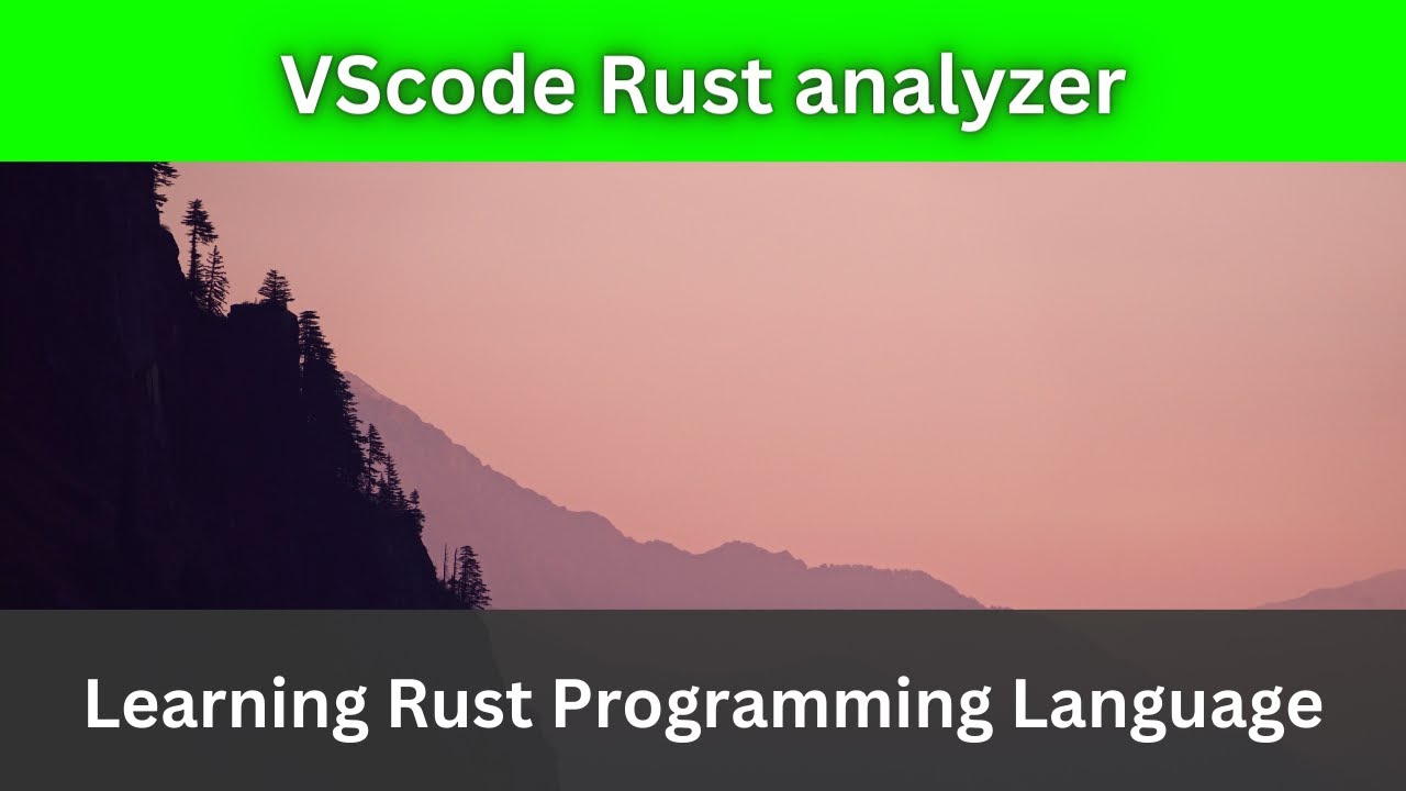 Customize VSCode Rust analyzer | editorInlayHint | Rust Language