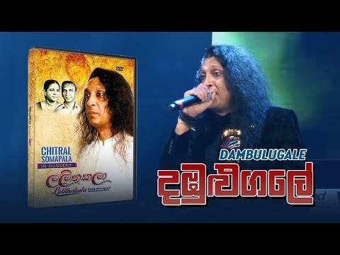 DambuluGale ( දඹුලුගලේ  ) -  Chitral Somapala Live In Concert