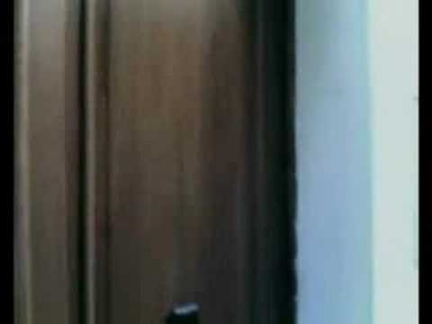 SEE THE LINE (Antonio Contoli - Roberto Pellegrini)